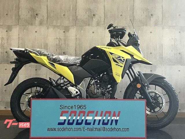 Suzuki V- 250SX 2025 — фото 1, купить с доставкой в Москву