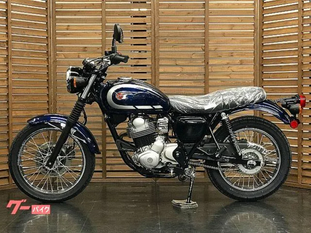 Kawasaki W230 2025 — миниатюра 2
