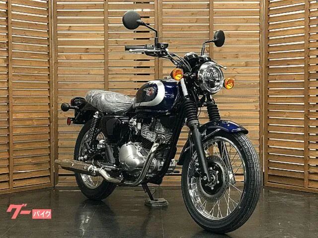 Kawasaki W230 2025 — миниатюра 3
