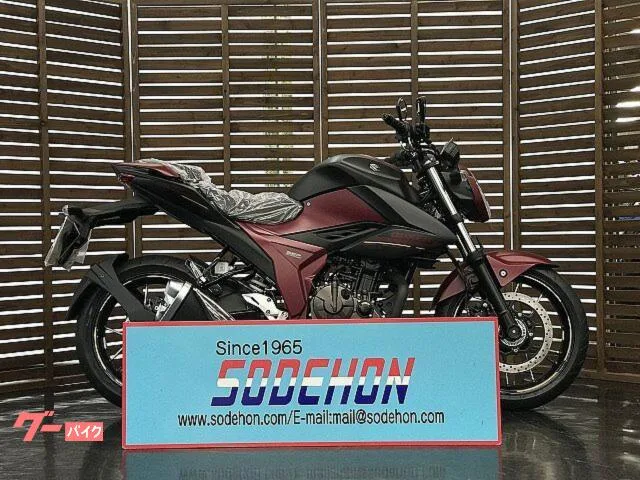 Suzuki GIXXER 250 2025 — фото 1, купить с доставкой в Москву