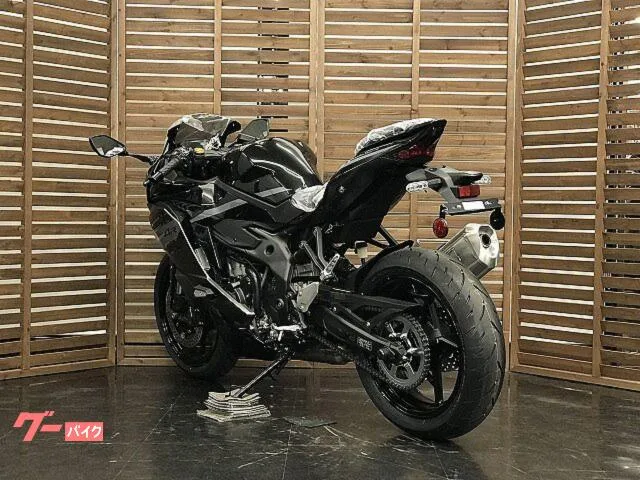 Kawasaki Ninja ZX-4R SE 2026 — миниатюра 2