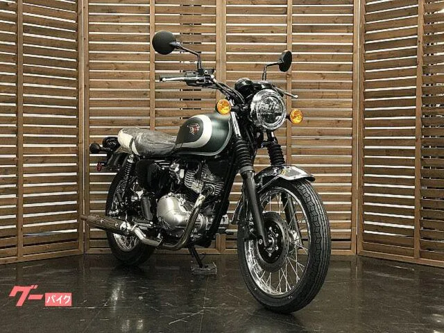 Kawasaki W230 2026 — миниатюра 3