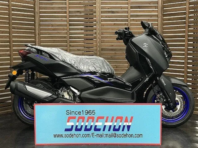 Yamaha X-MAX250 2025 — фото 1, купить с доставкой в Москву