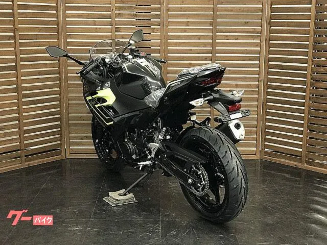 Kawasaki Ninja 250 2026 — миниатюра 2