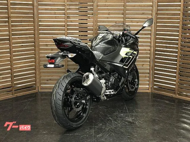 Kawasaki Ninja 250 2026 — миниатюра 4