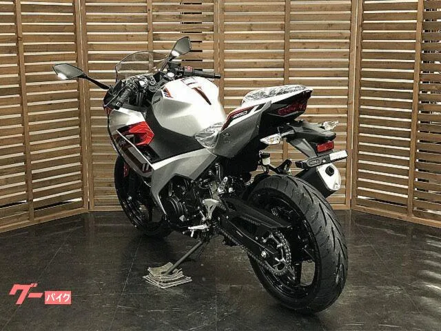 Kawasaki Ninja 250 2026 — миниатюра 2