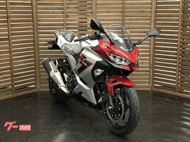 Kawasaki Ninja 250 2026 — миниатюра 3