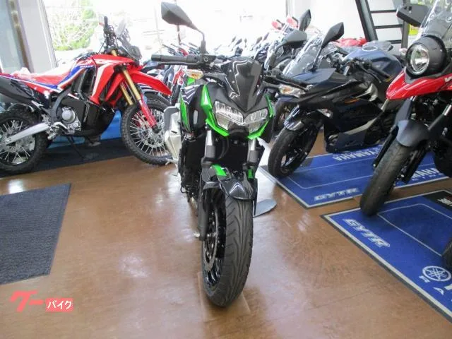 Kawasaki Z250 2023 — миниатюра 2
