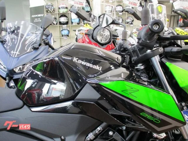 Kawasaki Z250 2023 — миниатюра 3