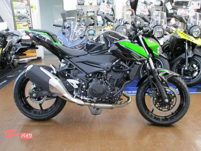 Kawasaki Z250 2023 — фото 1, купить с доставкой в Москву