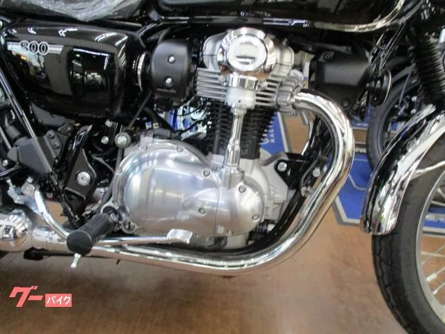 Kawasaki W800 2025 — миниатюра 3