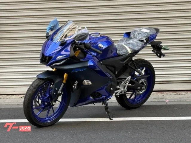Yamaha YZF-R15 2023 — миниатюра 2