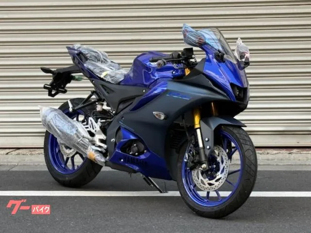 Yamaha YZF-R15 2023 — фото 1, купить с доставкой в Москву