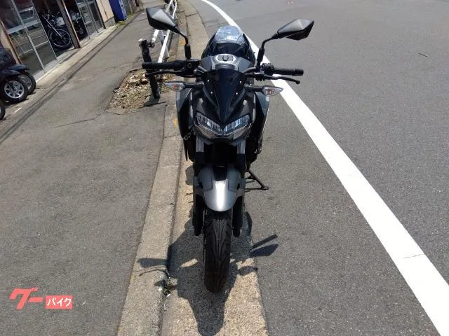 Kawasaki Z250 2024 — миниатюра 3