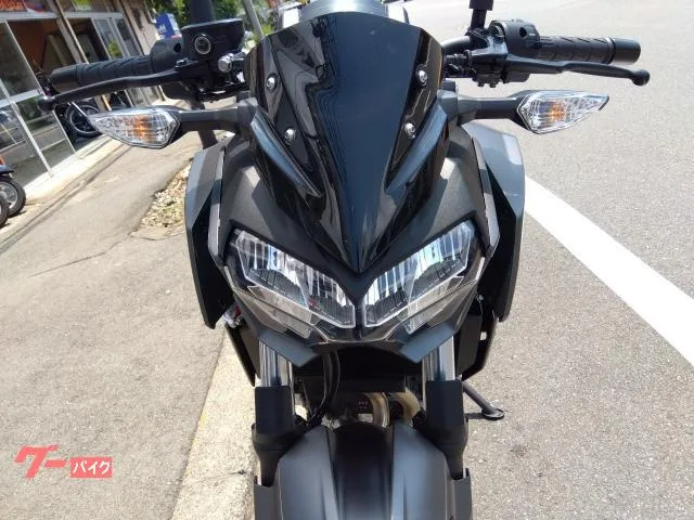 Kawasaki Z250 2024 — миниатюра 4