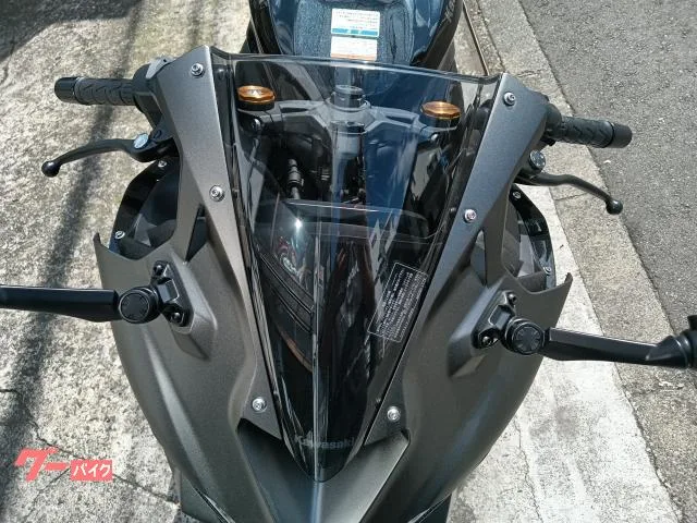 Kawasaki Ninja ZX-4R SE 2026 — миниатюра 4
