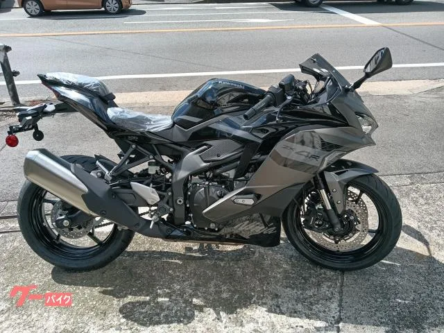 Kawasaki Ninja ZX-4R SE 2026 — фото 1, купить с доставкой в Москву