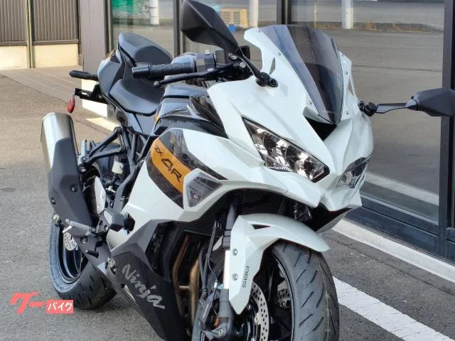 Kawasaki Ninja ZX-4R SE 2026 — миниатюра 2