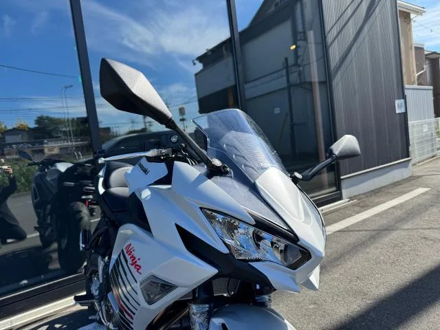 Kawasaki Ninja 650 2026 — миниатюра 3