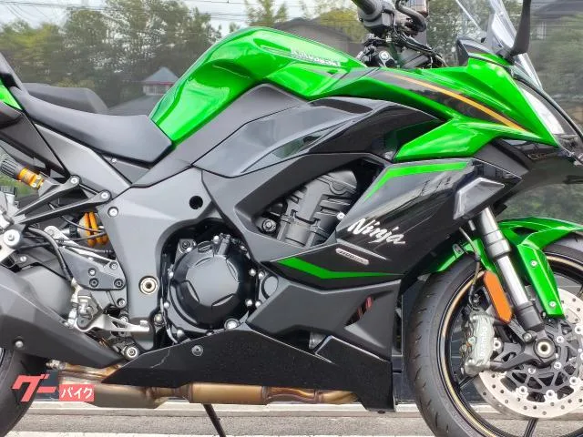 Kawasaki Ninja 1100 SX SE 2025 — миниатюра 3