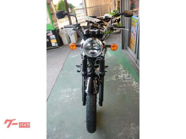Kawasaki S1 2024 — миниатюра 2