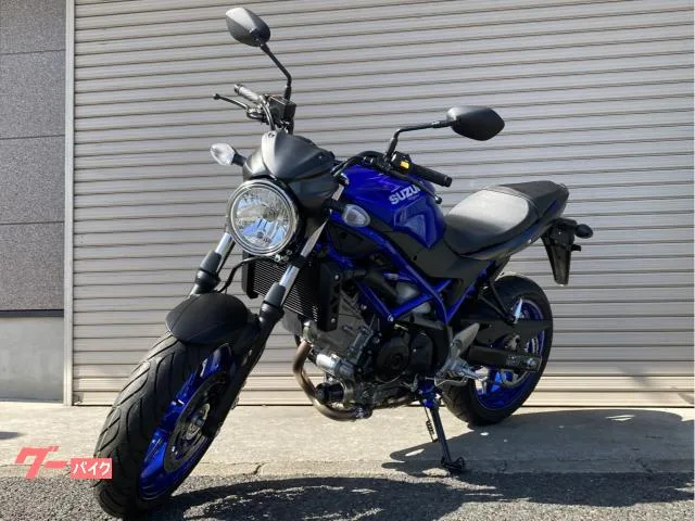 Suzuki SV650 2025 2025 — миниатюра 2