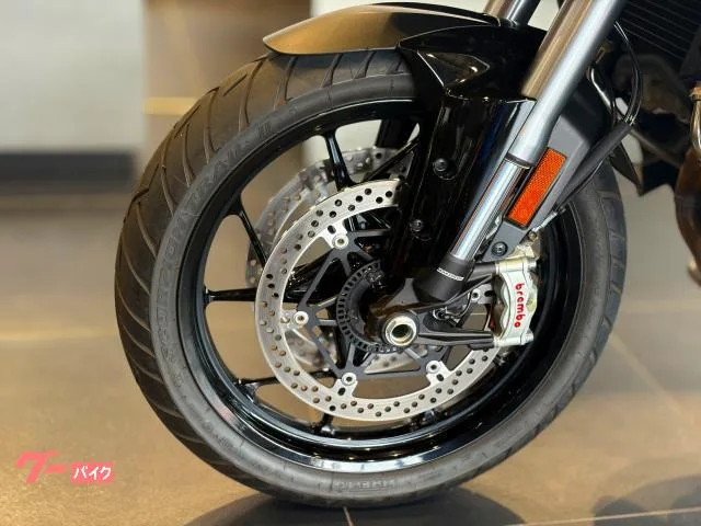 DUCATI V4S 2025 — миниатюра 4