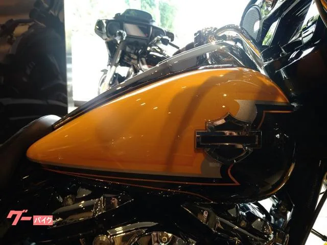 HARLEY-DAVIDSON CVO FLHXSE ETC LED 2022 — миниатюра 5