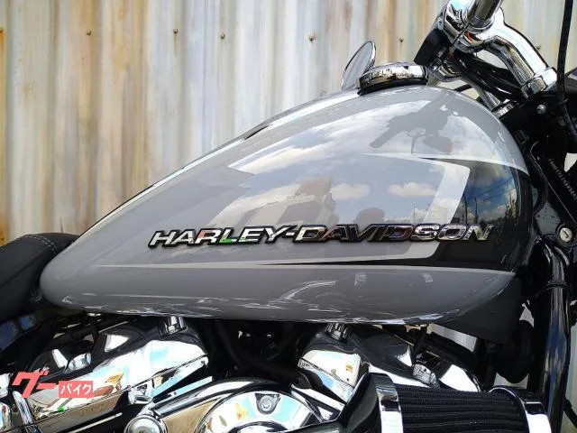 HARLEY-DAVIDSON FXBR ETC EX 2024 — миниатюра 5
