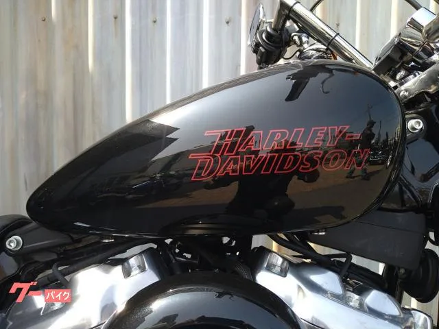 HARLEY-DAVIDSON FXST 2 GP ETC 2024 — миниатюра 2