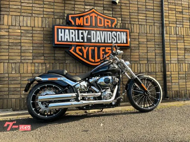 HARLEY-DAVIDSON FXBR 2025 — фото 1, купить с доставкой в Москву