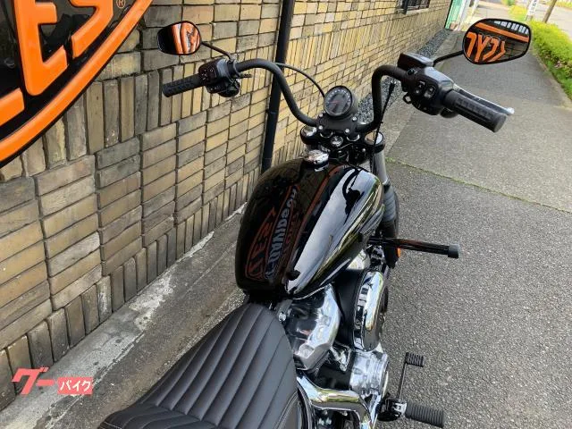 HARLEY-DAVIDSON FXBB 117 2026 — миниатюра 2