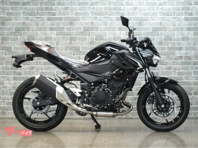 Kawasaki Z250 ABS 2026 — миниатюра 3