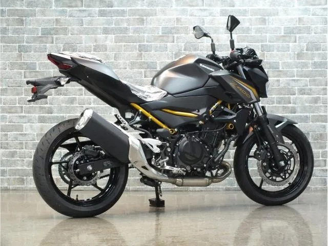 Kawasaki Z400 ABS 2026 2026 — миниатюра 2