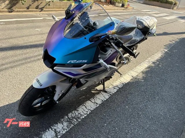 Yamaha YZF-R25 2025 — миниатюра 2