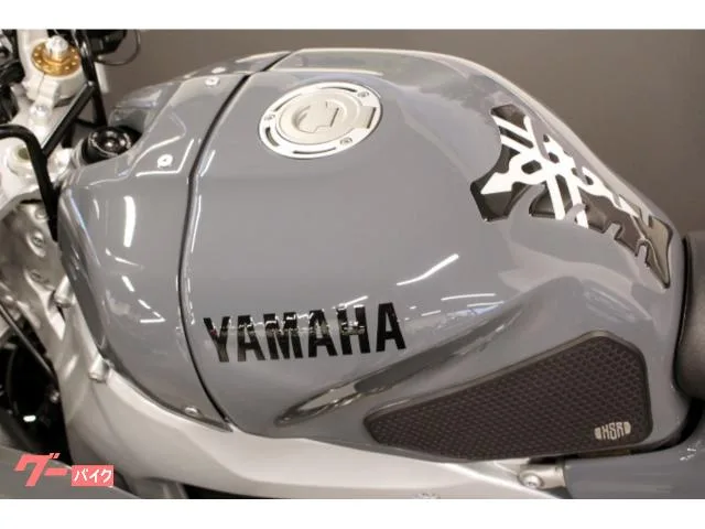 Yamaha XSR900GP. 2024 — миниатюра 2