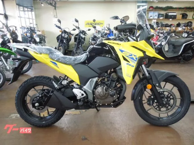 Suzuki V- 250SX 2025 — фото 1, купить с доставкой в Москву