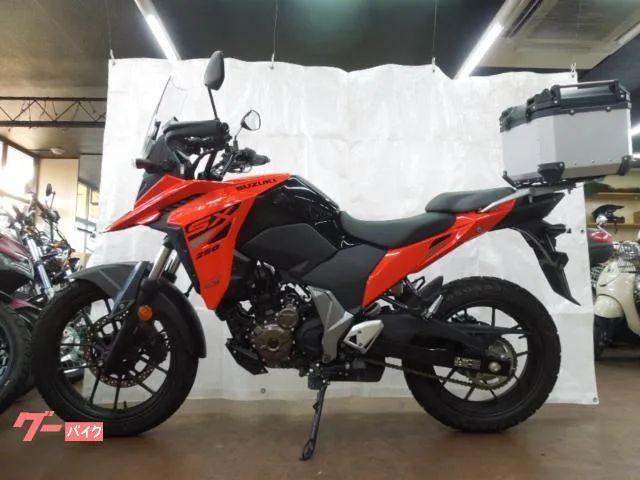 Suzuki V- 250SX 2023 — миниатюра 4