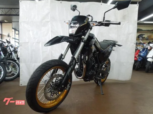 Kawasaki KLX230SM SP 2023 — миниатюра 3