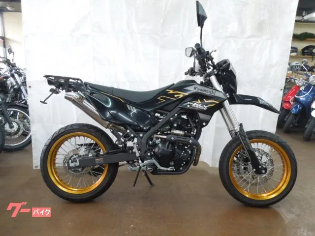 Kawasaki KLX230SM SP 2023 — фото 1, купить с доставкой в Москву