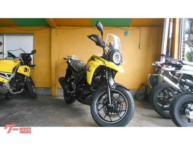 Suzuki V- 250 2024 — миниатюра 2