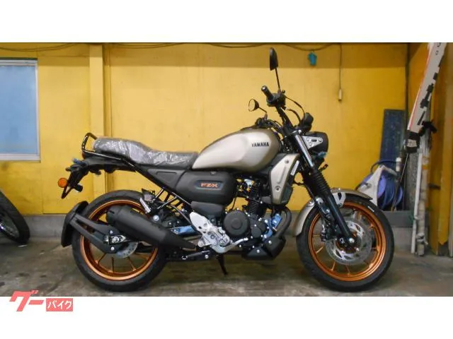 Yamaha FZ-X 2025 — фото 1, купить с доставкой в Москву