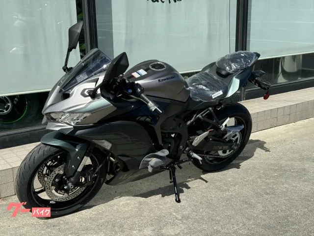 Kawasaki Ninja ZX-4R SE 2025 — миниатюра 5