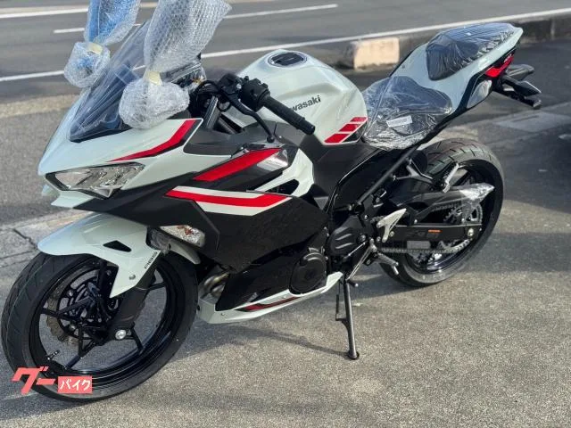 Kawasaki Ninja 400 2026 — миниатюра 2