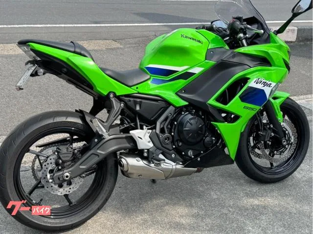 Kawasaki Ninja 650 2026 — миниатюра 3