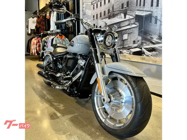 HARLEY-DAVIDSON FLFB 117 2025 — миниатюра 2