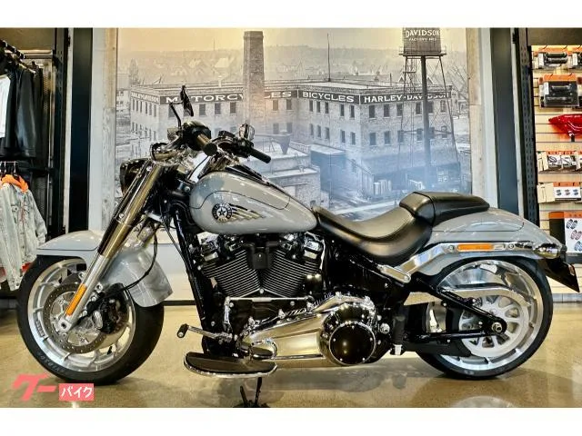 HARLEY-DAVIDSON FLFB 117 2025 — миниатюра 3