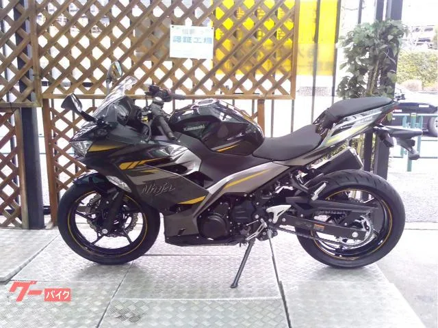 Kawasaki Ninja 400 ABS 2022 — миниатюра 2