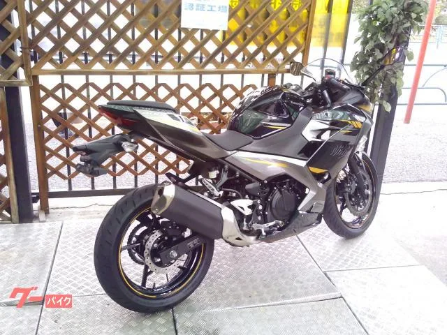 Kawasaki Ninja 400 ABS 2022 — миниатюра 3