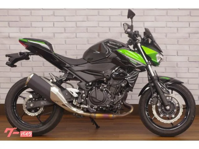 Kawasaki Z250 2023 — миниатюра 3